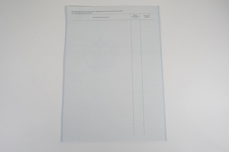 Диплом о начальном образовании 2007-2009 годов в Саратове Диплом о начальном образовании 2007-2009 годов в Саратове